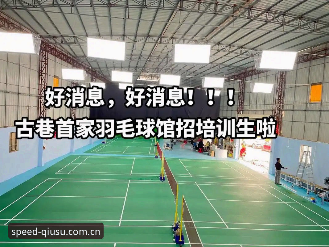 球速体育首选安卓版 vs 网页版：哪个更适合新手快速上手？——从下载到注册的全面对比